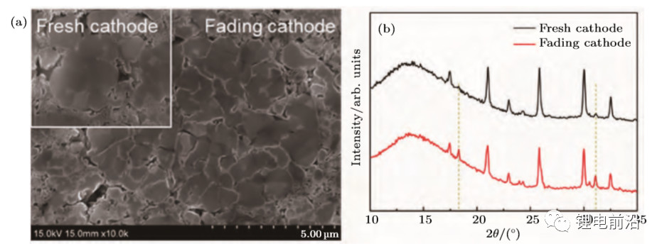 1663125656995673.jpg 3202ca8c164aa77a847a6f765f94912d.jpg